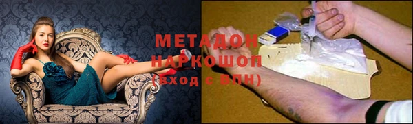 прущие грибы Абаза