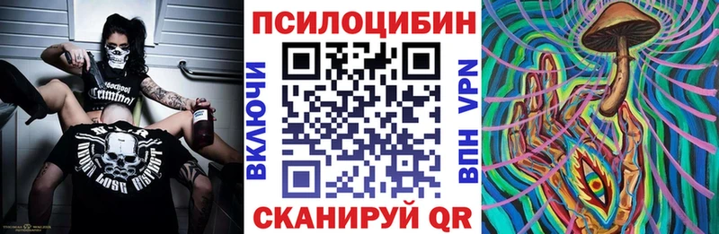 Псилоцибиновые грибы Cubensis наркошоп Лабытнанги