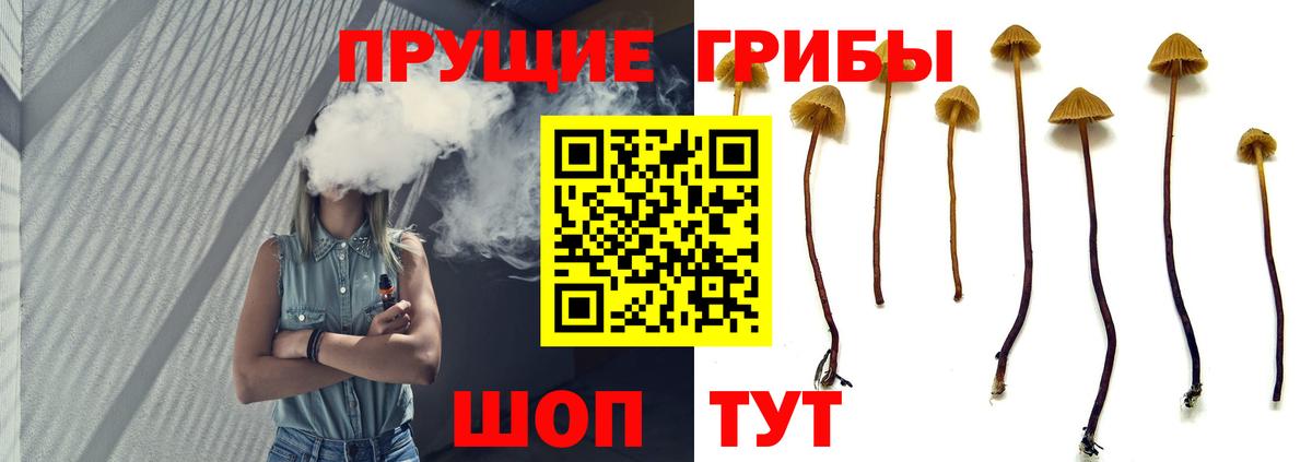 Галлюциногенные грибы прущие грибы Лабытнанги